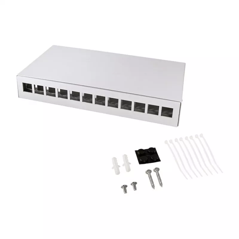 LOGILINK NP0094 Consolidation Point Box 12 porte, montaggio a tavolo/parete/guida DIN, grigio chiaro