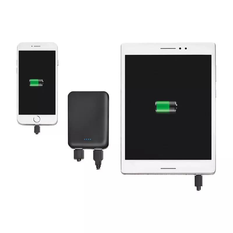 LogiLink PA0202 Powerbank 5000mAh nero