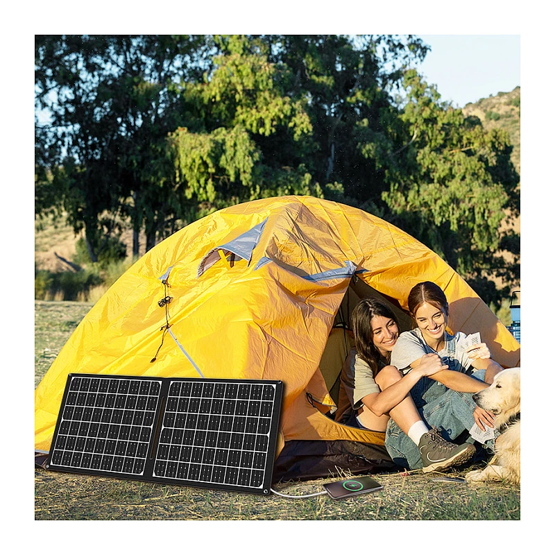 LogiLink PA0341 pannello solare pieghevole, 30 W, USB-C, USB-A, uscita DC5521, 2 moduli, efficienza 21%