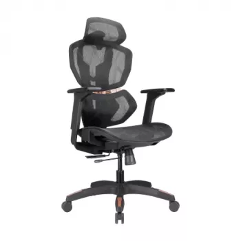 LUMIVIDA PREMIUM sedia da ufficio ergonomica con supporto per testa e zona lombare, braccioli regolabili 3D - nero