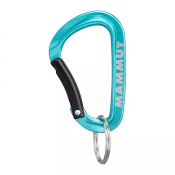 Mini moschettone Mammut Classic Keylock S - Argento/Grigio