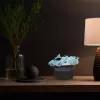 Manta SNL64RGB Lampada LED decorativa per auto 3D RGB
