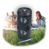 Manta SPK815 diffusore Bluetooth portatile per feste con karaoke, 30W RMS, LED disco, radio FM, USB/SD/AUX