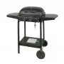 MASTER GRILL Master Gas Grill 2 bruciatori MG672
