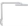 MAUL lampada da scrivania LED Intro dimmerabile con base a morsetto bianca
