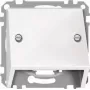 Placca centrale Merten 464619 per inserto TAE, bianco polare