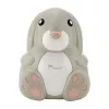Momini Nebulizzatore a compressore NebuBunny
