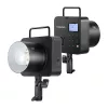 Neewer Q4 flash con batteria