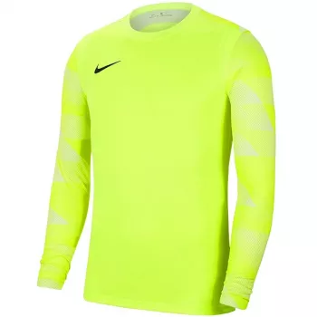 Nike Dry Park IV JSY LS GK Felpa portiere Lime CJ6066 702 XL