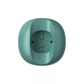 Oclean 2 in 1 Caricatore UMC03 verde