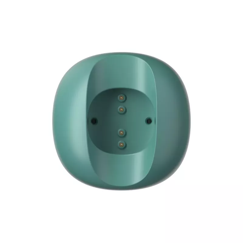 Oclean 2 in 1 Caricatore UMC03 verde