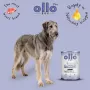 OLLO Plus Collagen Mono Lamb cibo umido per cani 800g