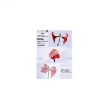 Olympia 9178 Pellicole di plastificazione A6, 125 micron, trasparente, 100 pz.