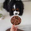 Paka Zwierzaka Pepe Cibo umido per cani al cervo 400g