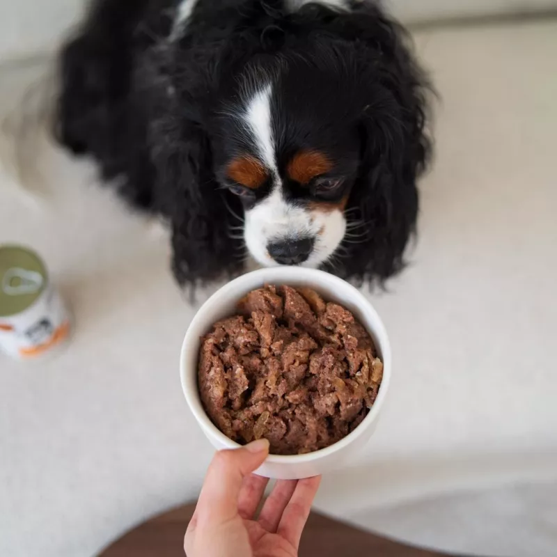 Paka Zwierzaka Pepe Cibo umido per cani al cervo 400g