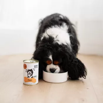 Paka Zwierzaka Pepe Cibo umido per cani al cervo 400g