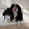 Paka Zwierzaka Pepe Cibo umido con tacchino per cani 400g