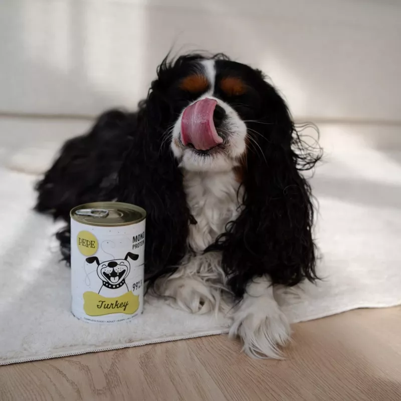 Paka Zwierzaka Pepe Cibo umido con tacchino per cani 400g