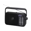 Panasonic RF-2400DEG-K radio analogica portatile AM/FM - nero