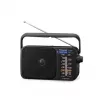 Panasonic RF-2400DEG-K radio analogica portatile AM/FM - nero