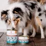 PERRO Manzo con radice di prezzemolo Cibo umido per cani 850g