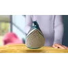 Philips DST2030/90 ferro da stiro a vapore - 2000W, piastra antiaderente, serbatoio 270ml