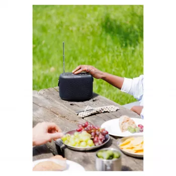 PURE ACOUSTICS Pure Woodland Altoparlante Bluetooth portatile – 10W, impermeabile, radio FM/DAB+, nero (253344)