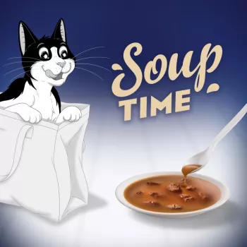 PURINA FELIX Soup ORIGINAL gusti di pesce 6x48g