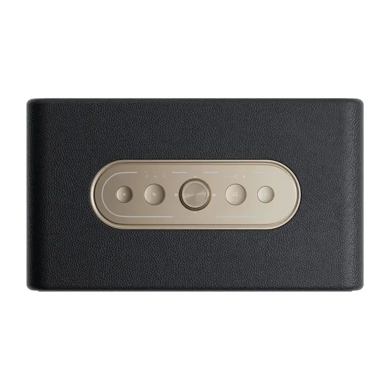 QCY SP300 speaker wireless (nero)