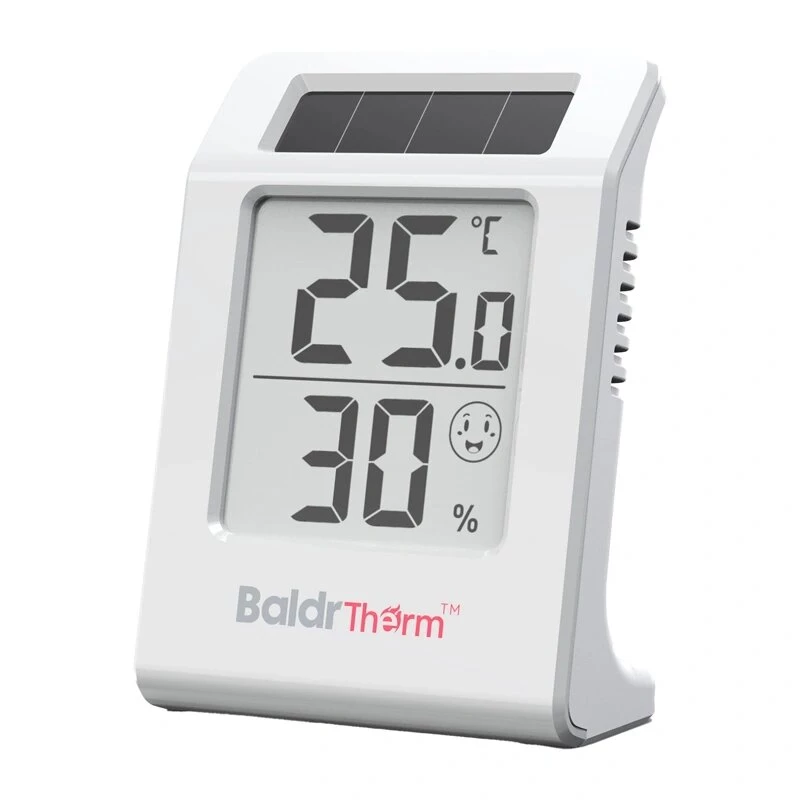 RAINPOINT BALDRTHERM E0587TH termoigrometro solare con sensore esterno wireless