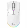 Rampage Prote M5 24000 DPI RGB LED 1kHz Mouse da gaming bianco