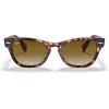 Ray-Ban Frank Square Occhiali da sole RB2201 133451 54/17/145 mm