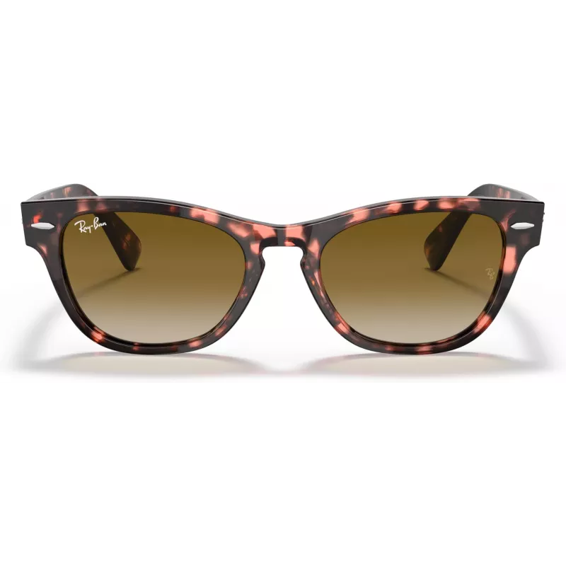 Ray-Ban Frank Square Occhiali da sole RB2201 133451 54/17/145 mm
