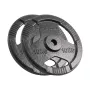 REBEL ACTIVE Set Pesi in Ghisa 2x10kg, Foro 31mm, Dischi con Maniglie, Nero