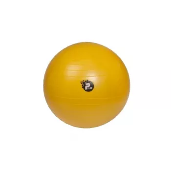 REHA FUND PILO-1045 palla riabilitativa ABS 65 cm argento/grigio