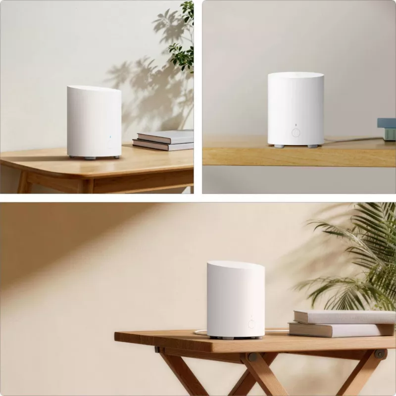 Reolink Hub 1 Lite (bianco, per un massimo di 8 telecamere)