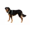 Ruffwear Front Range pettorina XS - River Rock Green