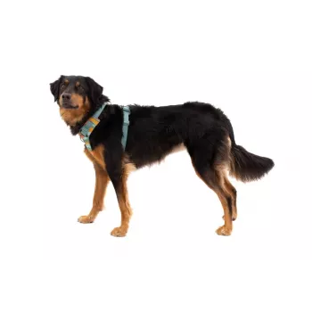 Ruffwear Front Range pettorina XS - River Rock Green