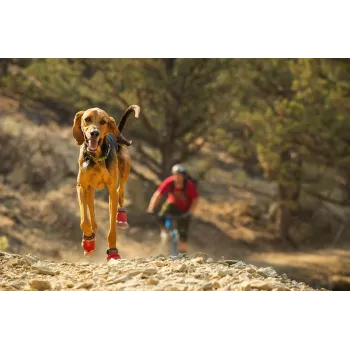 Ruffwear Grip Trex Dog Boots - Obsidian Black, taglia XXS