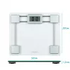 Salter 9081 SVFEU12 bilancia da bagno in vetro, argento/trasparente