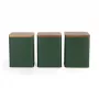 Salter BW12898G Toronto set di contenitori per alimenti da 3 pezzi, verde