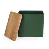 Salter BW12899G Toronto portapane, verde/legno