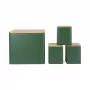 Salter BW12900G Toronto set da piano di lavoro 4 pezzi, verde