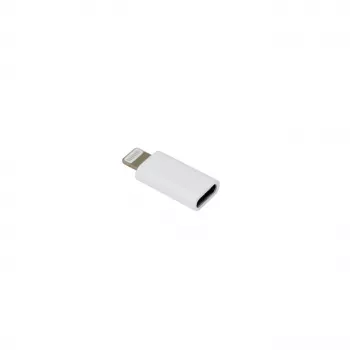 SBOX AD.IPH-TYPEC/R adattatore iPhone 8 maschio a USB Type-C femmina