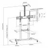 SBOX FS-3610 supporto da terra per TV LED ultra-grandi 60-100 100kg