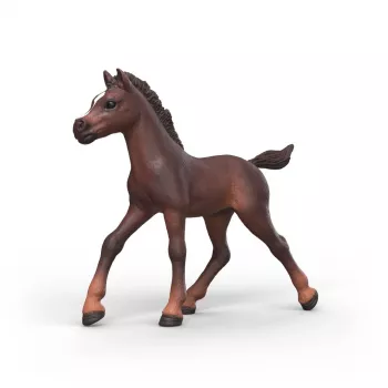 Puledro da collezione Schleich Horse Club Ravi