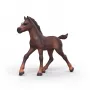 Puledro da collezione Schleich Horse Club Ravi