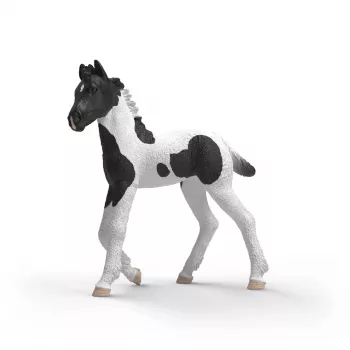 Schleich Horse Club Puledro da Collezione Rocky