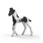 Schleich Horse Club Puledro da Collezione Rocky
