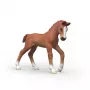 Schleich Horse Club puledro da collezione Ruby